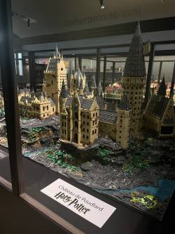 IMG_0209.jpeg